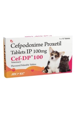 SKY EC CEF - DP 100MG TABLET 